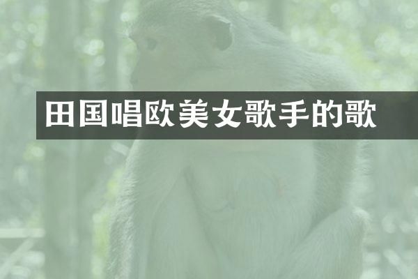 田柾国唱欧歌手的歌