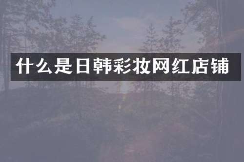 什么是日韩彩妆网红店铺