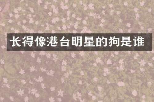 长得像港台明星的狗是谁