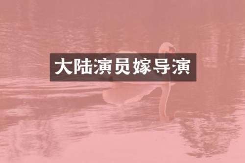 大陆演员嫁导演