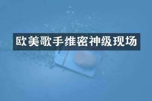 欧美歌手维密神级现场