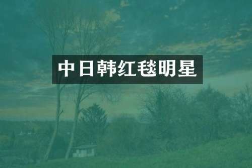 中日韩红毯明星