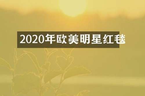 2020年欧美明星红毯