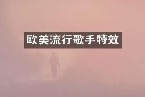 欧美流行歌手特效