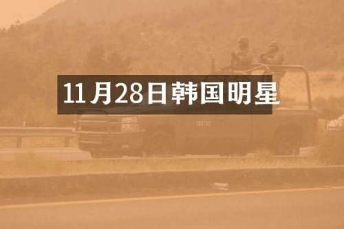 11月28日韩国明星