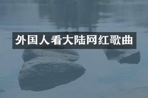外国人看大陆网红歌曲