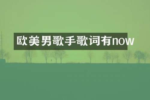欧美男歌手歌词有now