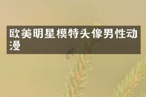 欧美明星模特头像男性动漫