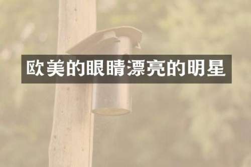 欧美的眼睛漂亮的明星