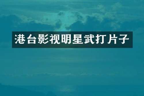 港台影视明星武打片子