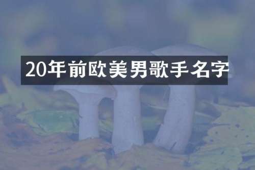 20年前欧美男歌手名字