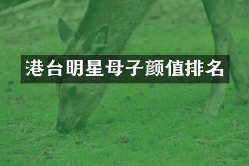 港台明星母子颜值排名