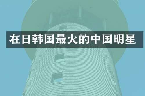 在日韩国最火的中国明星