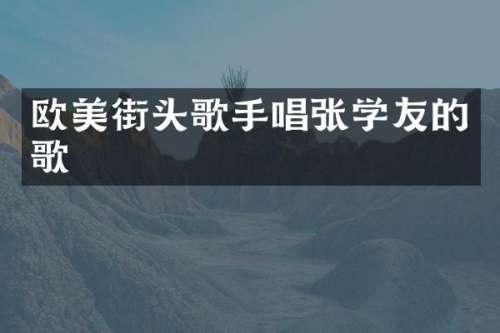 欧美街头歌手唱张学友的歌