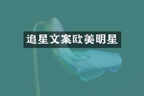 追星文案欧美明星