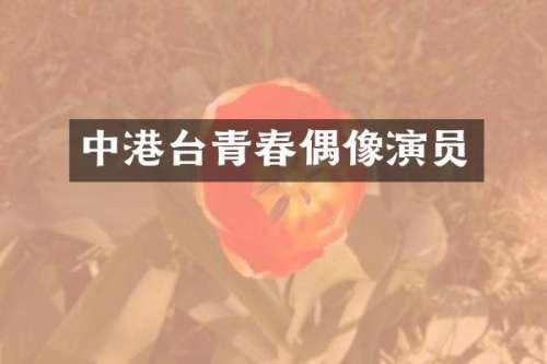 中港台青春偶像演员