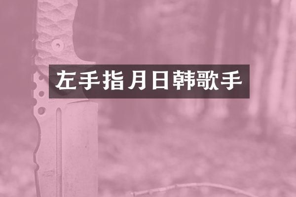 左手指月日韩歌手