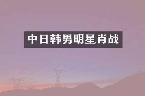 中日韩男明星肖战