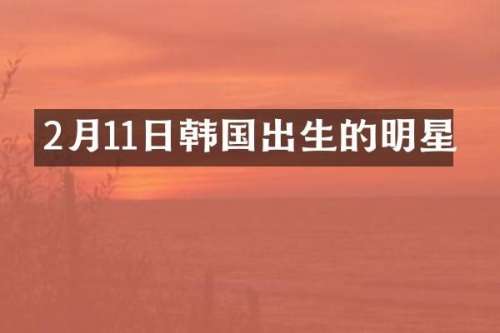 2月11日韩国出生的明星