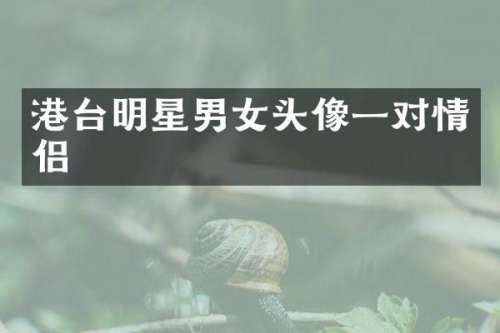 港台明星男女头像一对情侣