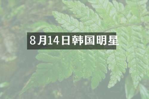 8月14日韩国明星