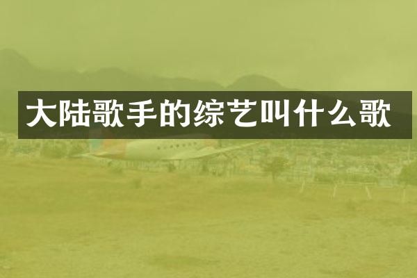 大陆歌手的综艺叫什么歌