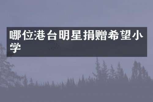 哪位港台明星捐赠希望小学