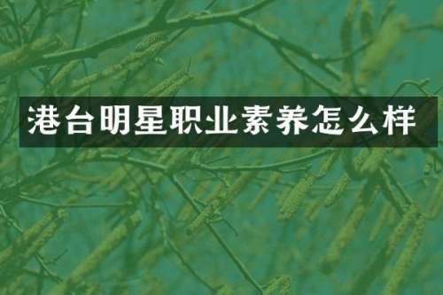 港台明星职业素养怎么样