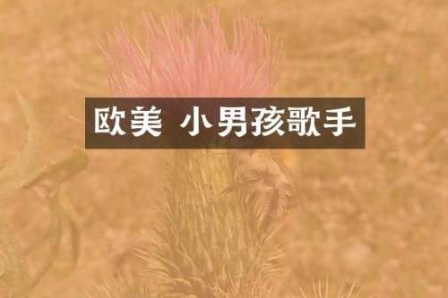 欧美 小男孩歌手
