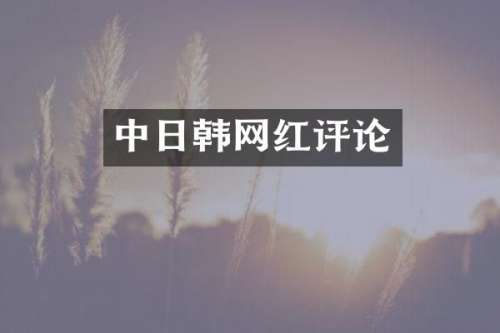 中日韩网红评论