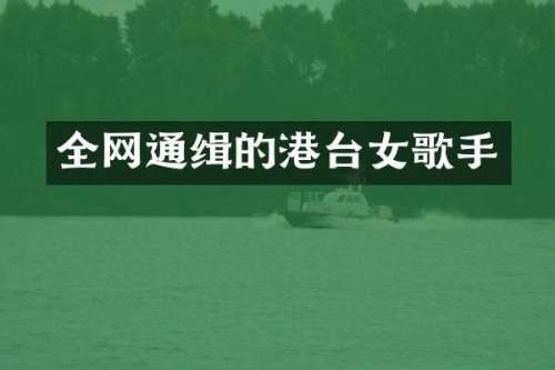 全网通缉的港台女歌手