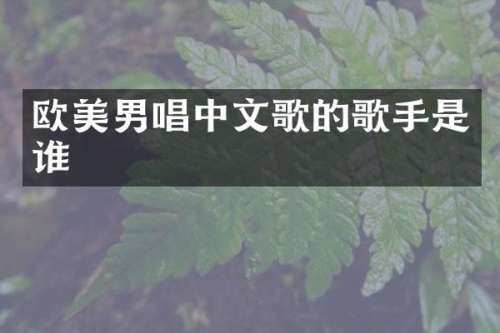 欧美男唱中文歌的歌手是谁