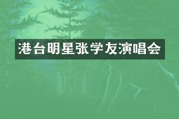 港台明星张学友演唱会