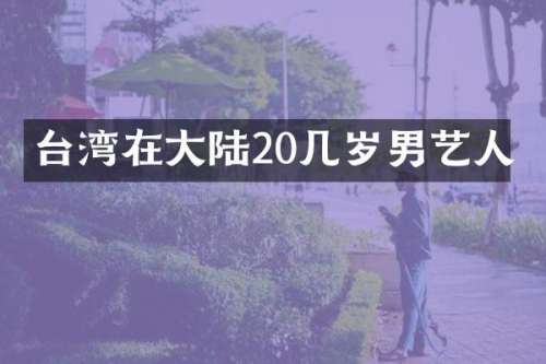 台湾在大陆20几岁男艺人