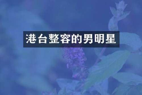 港台整容的男明星