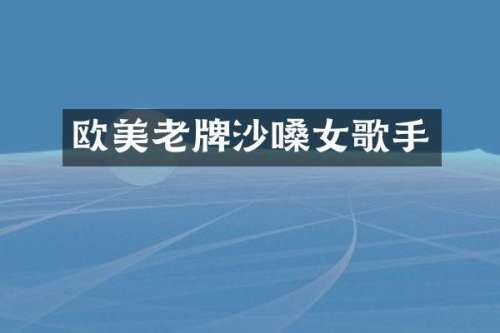 欧美老牌沙嗓女歌手