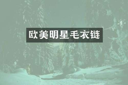 欧美明星毛衣链