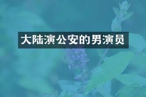 大陆演公安的男演员