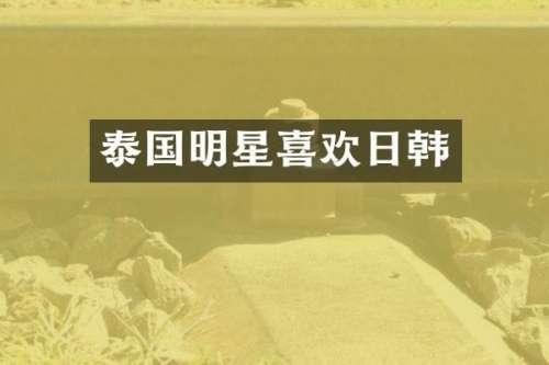 泰国明星喜欢日韩