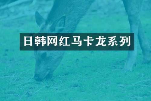 日韩网红马卡龙系列