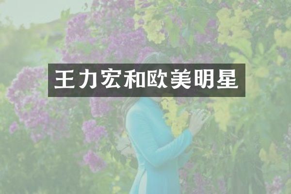 王力宏和欧美明星