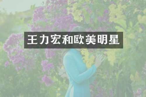 王力宏和欧美明星
