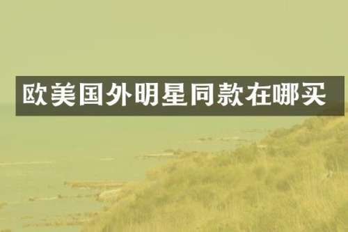 欧美国外明星同款在哪买