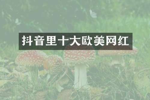 抖音里十大欧美网红
