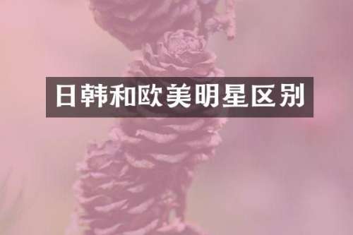 日韩和欧美明星区别