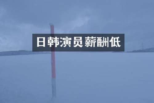 日韩演员薪酬低