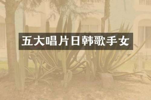 五大唱片日韩歌手女