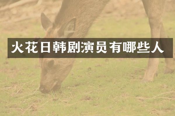 火花日韩剧演员有哪些人