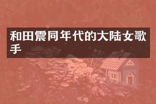 和田震同年代的大陆女歌手