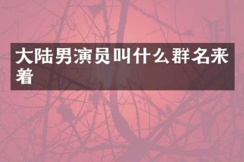 大陆男演员叫什么群名来着